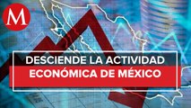 Actividad económica cayó 0 3% mensual en febrero