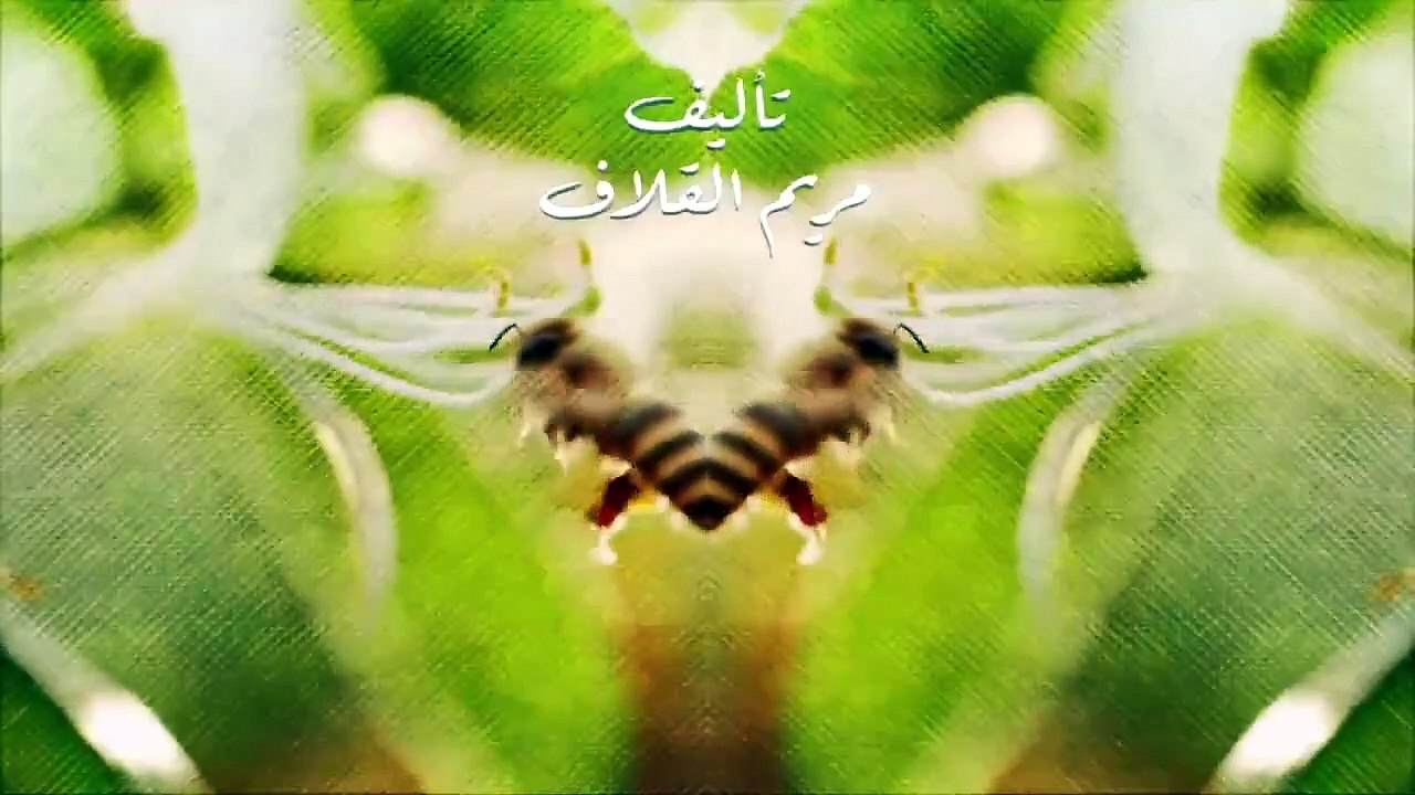 مسلسل نبض مؤقت الحلقة 13 الثالثة عشر