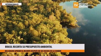 Brasil recorta su presupuesto ambiental a pesar de las promesas hechas en la cumbre sobre el clima