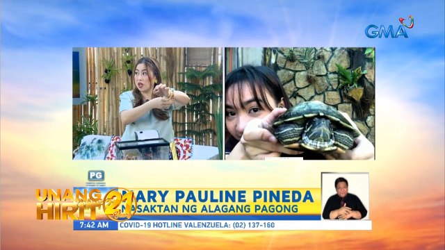 Unang Hirit: Quarantine Pets: Paano alagaan ang turtles?