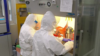 변이바이러스 확진자 천 명 넘어...'기타 변이'도 확산세 / YTN