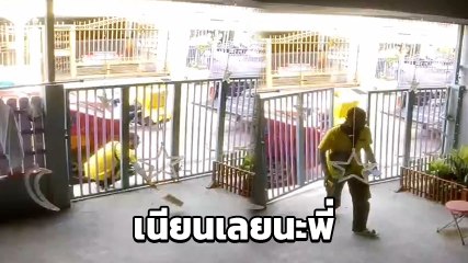 ได้เหรอ ? พนง. ขนส่ง โยนพัสดุ ไม่พอเปิดรั้วเข้าบ้าน ตีเนียนเหมือนเพิ่งมาส่ง