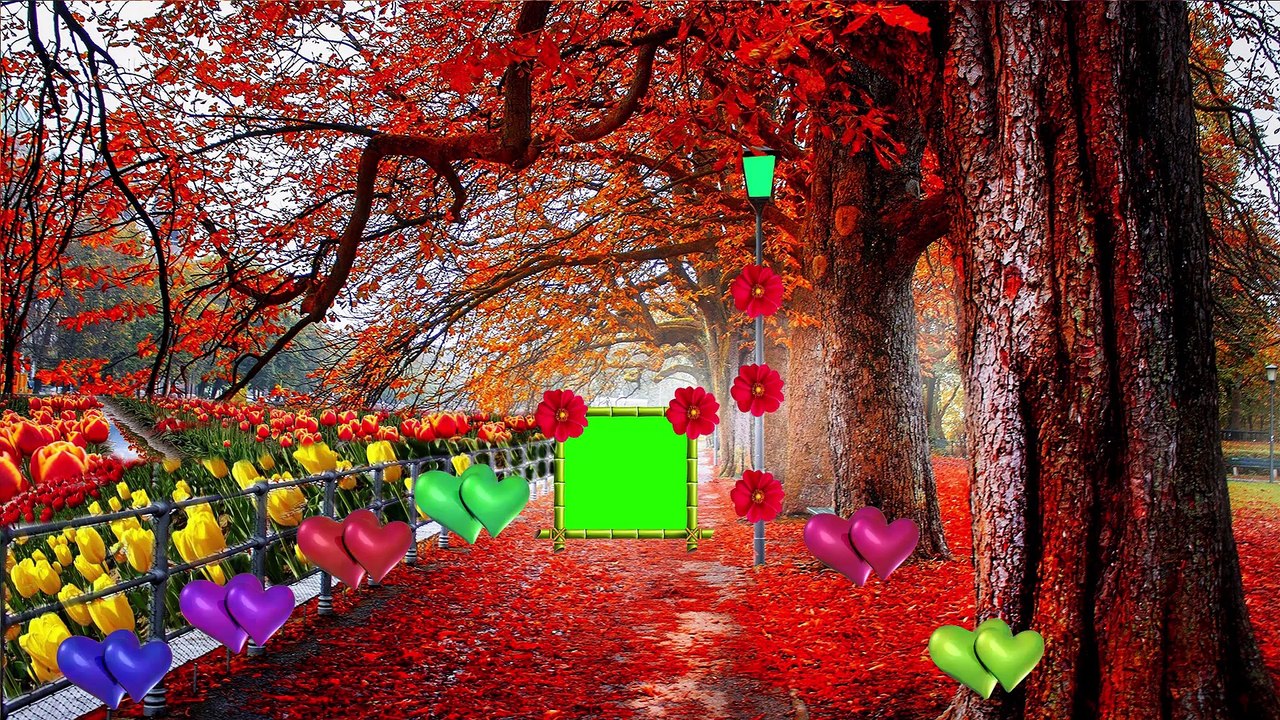 Wedding green screen Effects HD Video 08/Dil photo frame Very Beautiful New green photo frame
