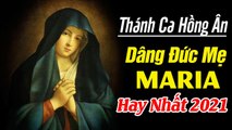 Thánh Ca Hồng Ân Dâng Đức Mẹ Maria Hay Nhất - Nhạc Thánh Ca Tuyển Chọn Hay Nhất Hiện Nay