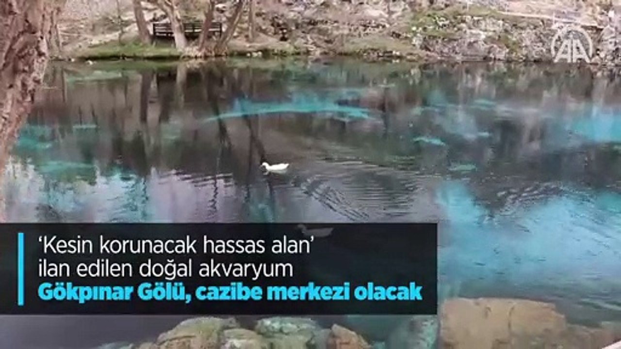 ‘Kesin korunacak hassas alan’ ilan edilen doğal...