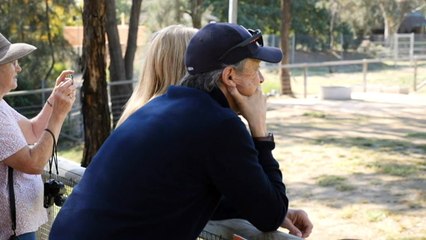 Endangered black rhino makes public debut at Dubbo Zoo