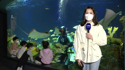 [날씨] 도심에서 즐기는 바다 탐험...황사로 대기 탁해 / YTN