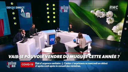 « Allô Marie ? » : Vais-je pouvoir vendre du muguet cette année ? - 28/04