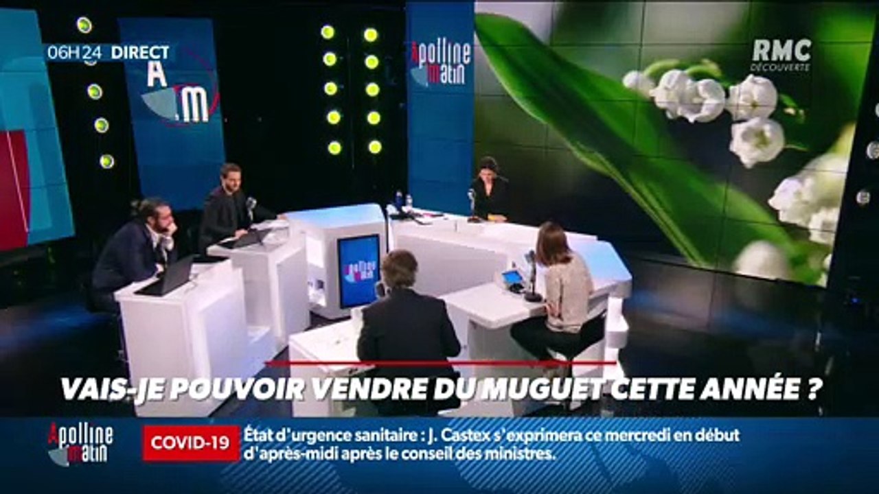 « Allô Marie ? » : Vais-je pouvoir vendre du muguet cette année ? - 28/04