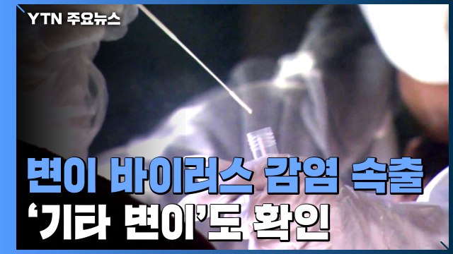 코로나19 변이 바이러스 감염 확산세...'기타 변이'도 유의 / YTN