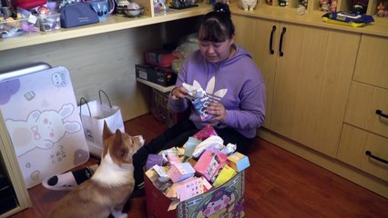 'Blind box' craze grips China's youth and mints toy makers a fortune