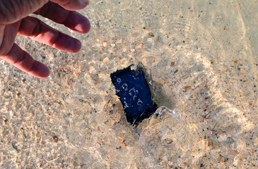 Smartphone tombé dans l'eau, cette astuce imparable pour le sauver