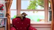 You Will Have Tears In Your Eyes From Laughing  Cute And Funny Cat Stop Motion Video