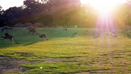 हंसने से अवसाद हो सकता है ? I Laughing can cause depression - Amazing Facts In Hindi # 8