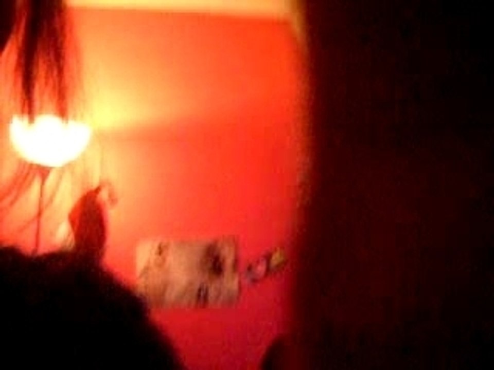 Photo 032