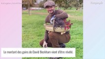 David Beckham gagne près de 40 000 euros... par jour !