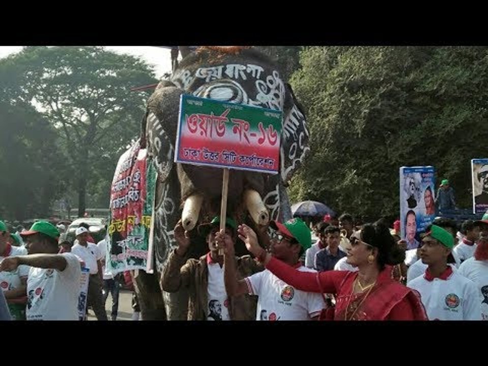 সেলফি উইথ জয় বাংলা হাতি | Selfie With Joy Bangla Elephants