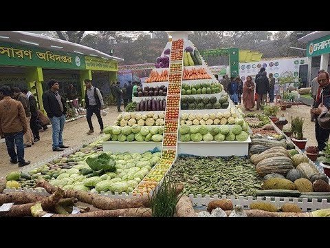 দৈনিক চাহিদার এক চতুর্থাংশ সবজি খাচ্ছেন মানুষ । People are Eating vegetables one-fourth