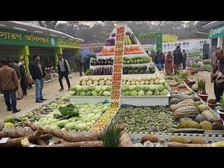 দৈনিক চাহিদার এক চতুর্থাংশ সবজি খাচ্ছেন মানুষ । People are Eating vegetables one-fourth