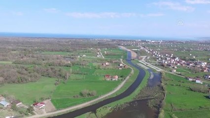 Kızılay Deltası'nda leylek "Rıfkı"yı balıkçıları besliyor