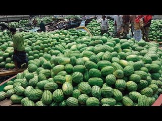 সকাল সন্ধ্যা জমজমাট বাদামতলী ওয়াইজঘাট | Morning and Evening Crowded at Badamtali-Waijghat