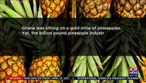 Ghana’s lost Pineapple Glory: Variants from Costa Rica threaten booming sector - Business (28-4-21)