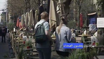 هولندا تبدأ تخفيف قيود كوفيد-19