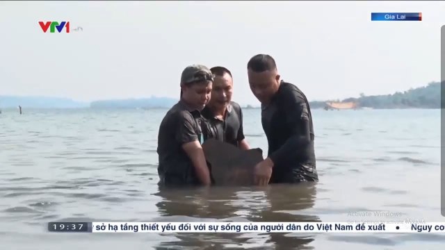 KHO GỖ TRÁI PHÉP DƯỚI LÒNG HỒ THỦY ĐIỆN Tin tức 24h hôm nay mới nhất