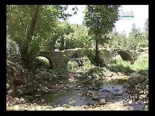 صورة ونغمة - داريا