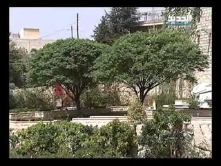 صورة ونغمة - بنشعي