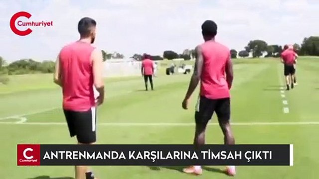 Antrenmanda şaşkına çeviren anlar: Karşılarına timsah çıktı