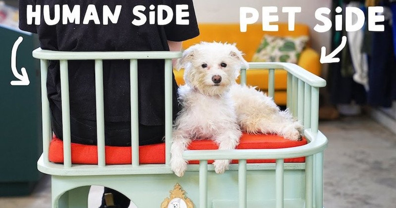 Ce fauteuil de bureau est spécialement conçu pour travailler à côté de son animal de compagnie