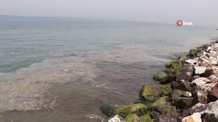 Marmara denizi beyaza büründü