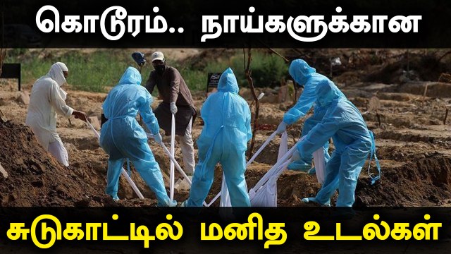 Delhi-ல் நாய்களுக்கான சுடுகாட்டில் மனித உடல்கள் தகனம் செய்ய அதிகாரிகள் முடிவு