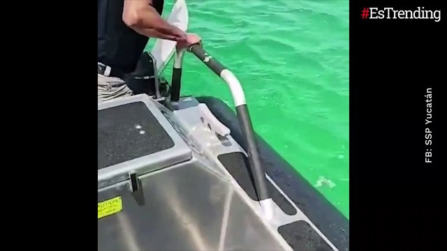 Bomberos logran rescatar a un perrita que estaba atrapada en el mar