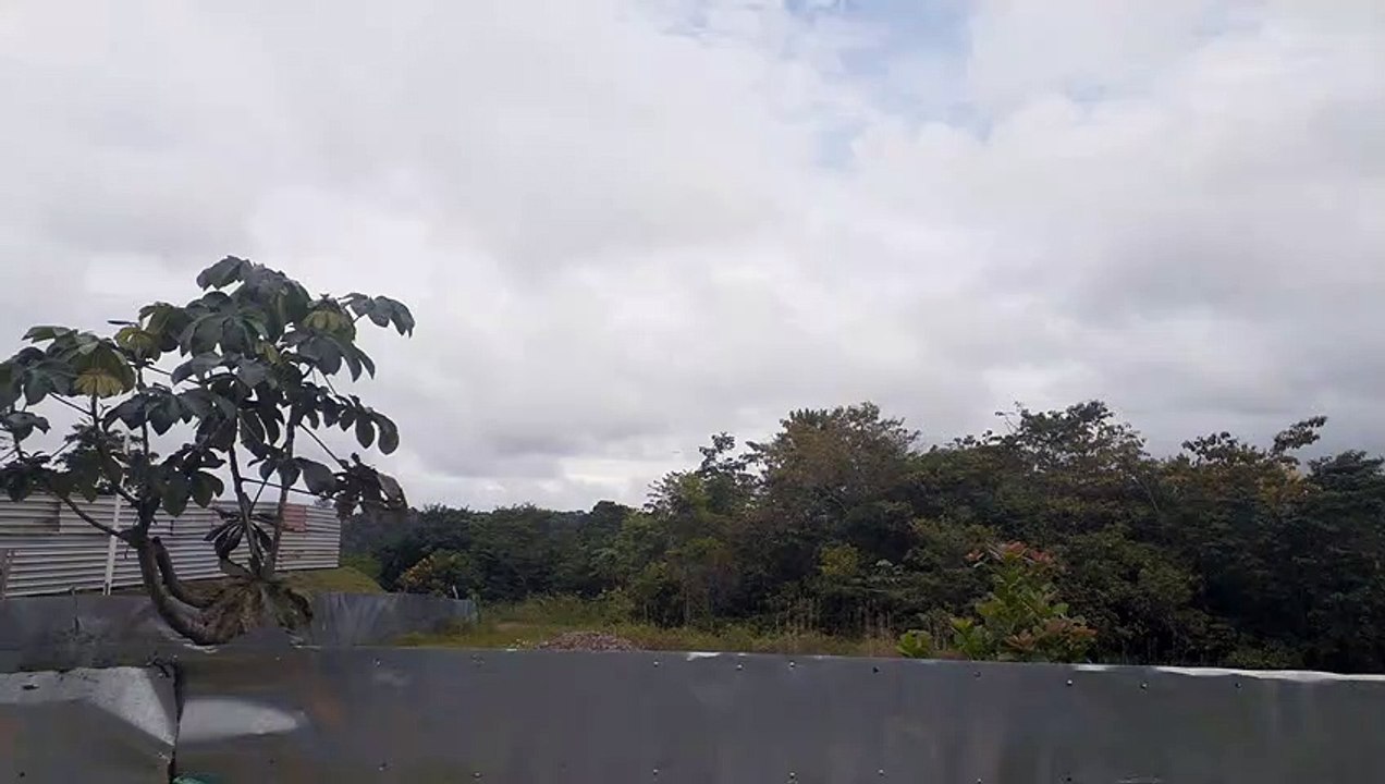 Airbus A330 PR-AIW na aproximação final antes de pousar em Manaus vindo de Campinas