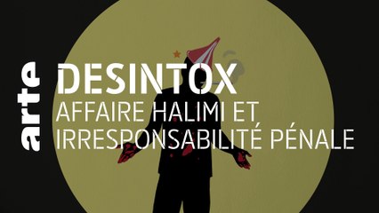 Affaire Halimi et irresponsabilité pénale | 28/04/2021 | Désintox | ARTE