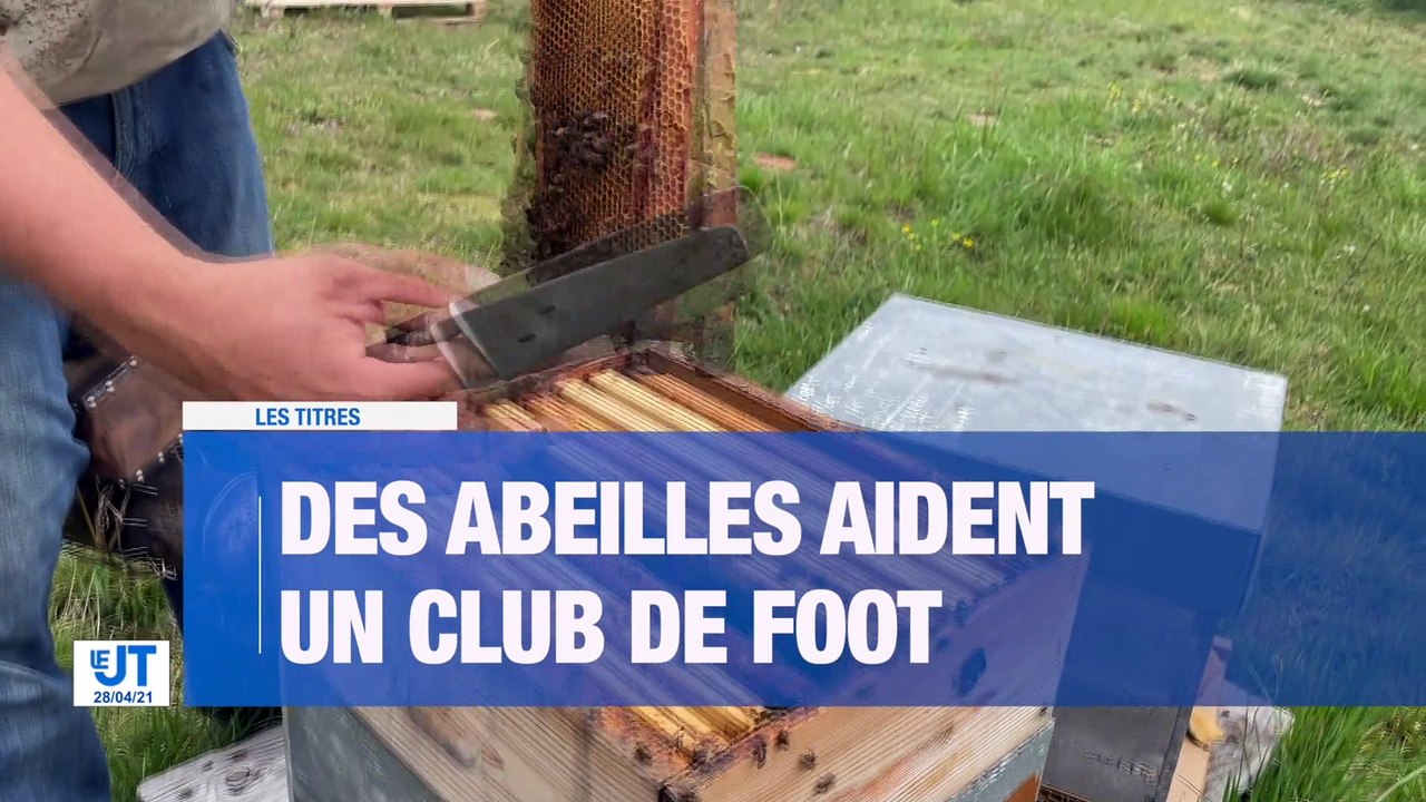 À la UNE : des élections à l'Université Jean-Monnet / La Covid19 a une incidence sur le chômage dans la Loire / Le festival Paroles et Musiques de nouveau annulé / Un apiculteur aide le club de foot local.