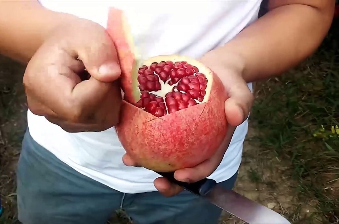 İşte nar soymanın en pratik yolu