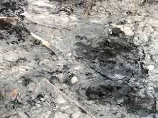 Source du puy de la Poix à Aulnat