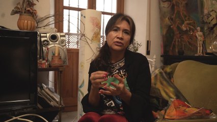 La mariposa monarca y los patios cordobeses