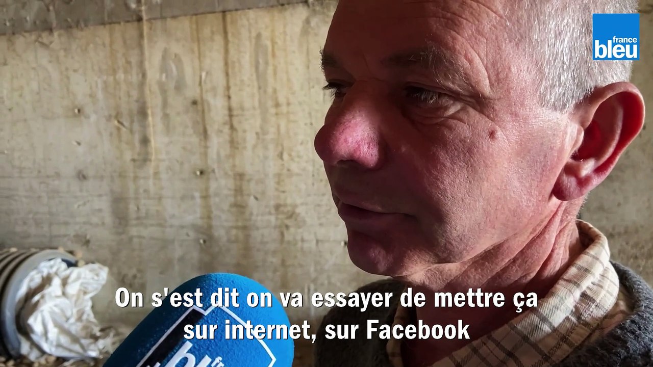 Dans l'Orne, "Bertrand Patates" brade 30 tonnes de pommes de terre invendues avec la crise sanitaire