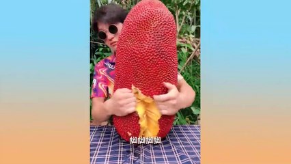 Oddly Satisfying & Relaxing Video that Truly Amazes You