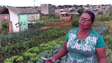 Hortas urbanas e comunitárias