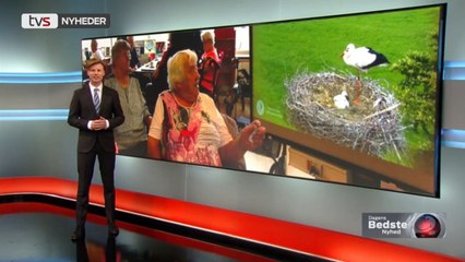 De følger storken på storskærm: TV fra storkereden giver livsglæde | Tåsinge Plejecenter | Annika & Tommy i Smedager | 04-07-2017 | TV SYD @ TV2 Danmark