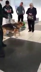 Almanya'ya inen Türklere skandal uygulama