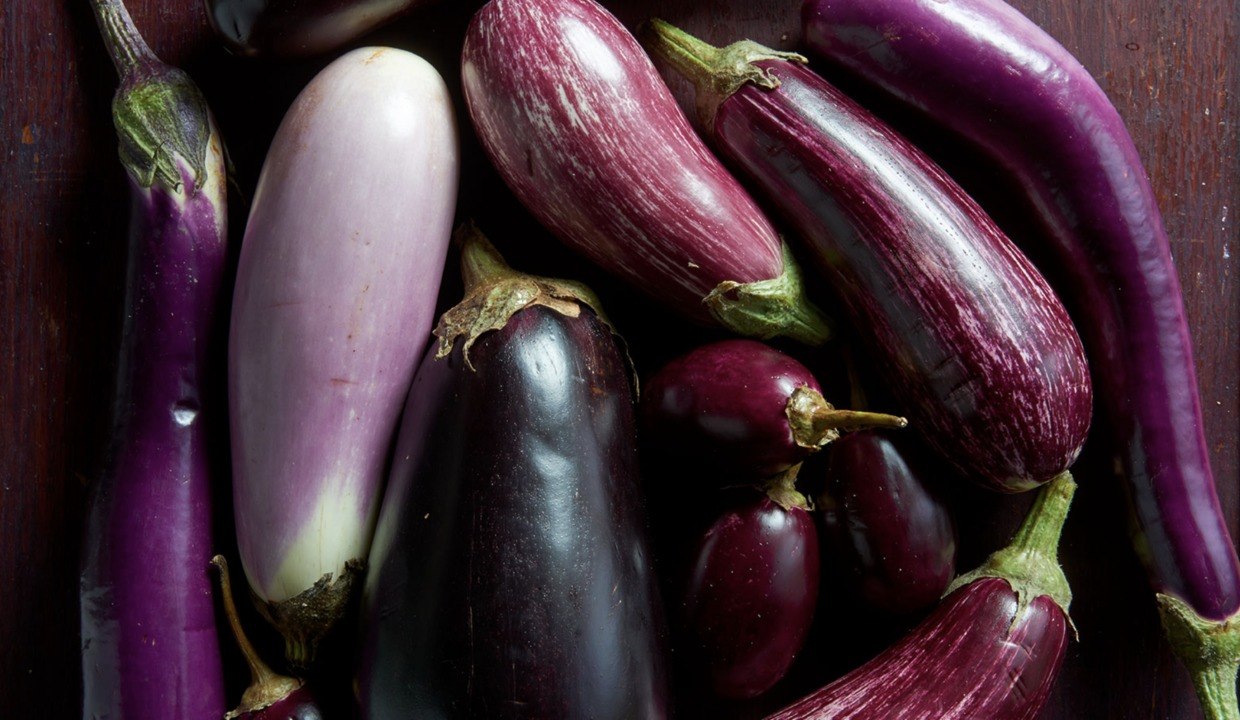 Types of Eggplants to Know (and Grow) This Summer