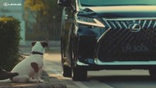 "Lexus LM300h" Video de promoción en Taiwan