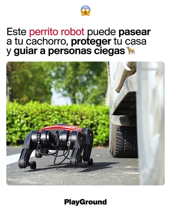 Este perrito robot puede pasear a tu cachorro, proteger tu casa y guiar a personas ciegas