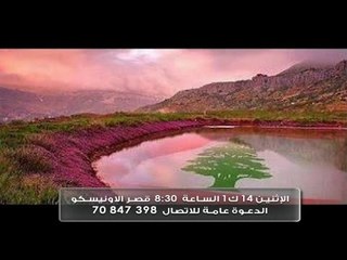 Promo- حفلة كلنا للوطن